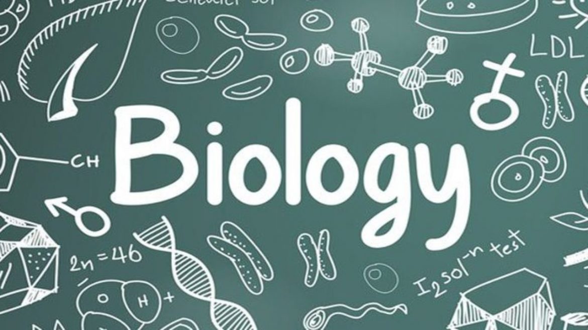 Alasan Utama Untuk Belajar Gelar Biologi Saat Ini