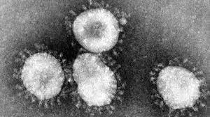 Evolusi Virus dan Penyebab Penyakit Baru di Dunia Biologi