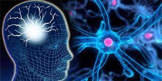 Penelitian Neurobiologi Membahas Misteri Otak Manusia
